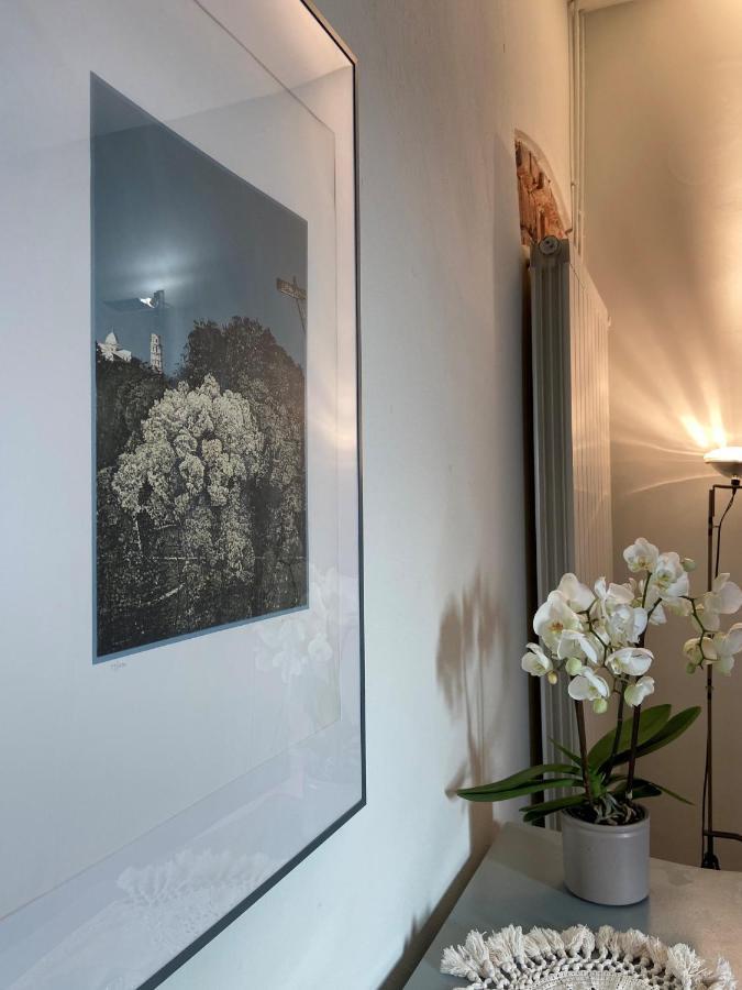 Victoria House B&B Pisa Dış mekan fotoğraf