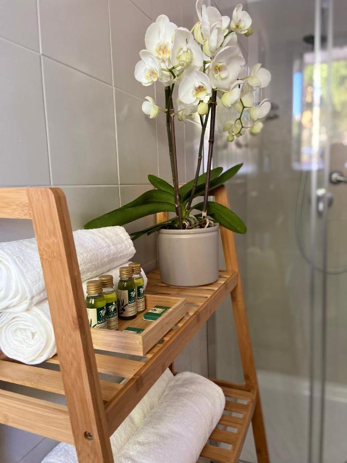 Victoria House B&B Pisa Dış mekan fotoğraf