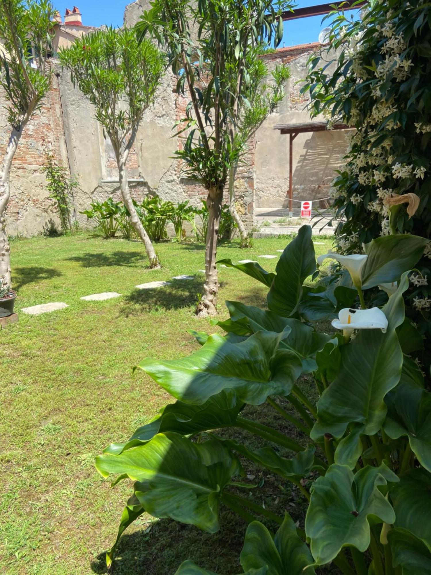 Victoria House B&B Pisa Dış mekan fotoğraf